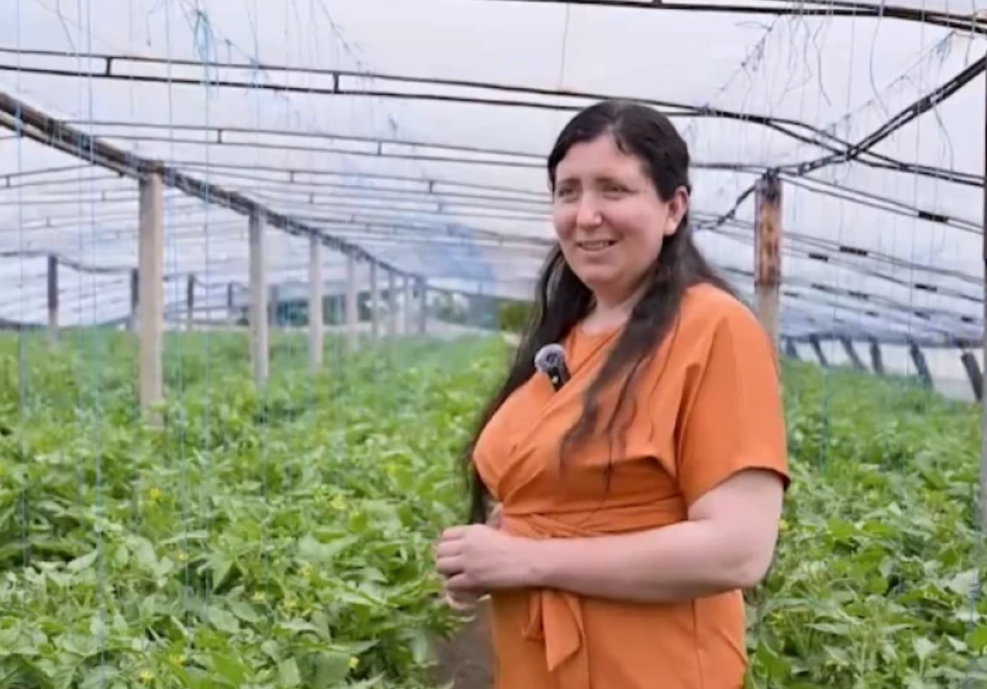 Margarita Florea, antreprenoarea din Cahul care și-a construit afacerea în sere: „Munca nu este ușoară, dar când vezi rezultatul, prinzi putere să mergi mai departe”