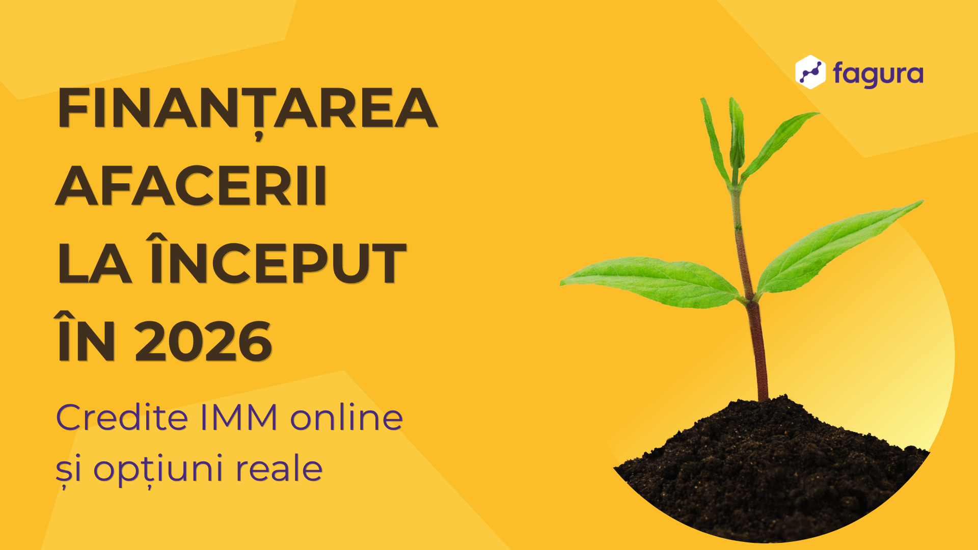 Cum îți poți finanța afacerea în Moldova în 2026: granturi, credite și soluții reale pentru femeile antreprenoare