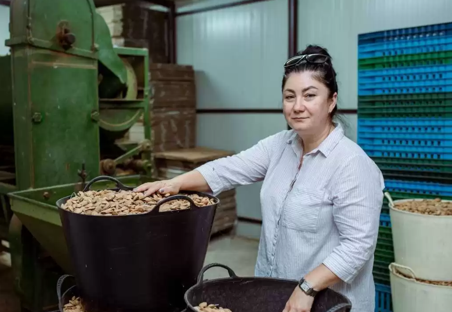 Cum a construit Stela Bucur din satul Drăgușeni o afacere de familie care exportă miez de nuci în România: „Ne-au trebuit peste 10 ani”